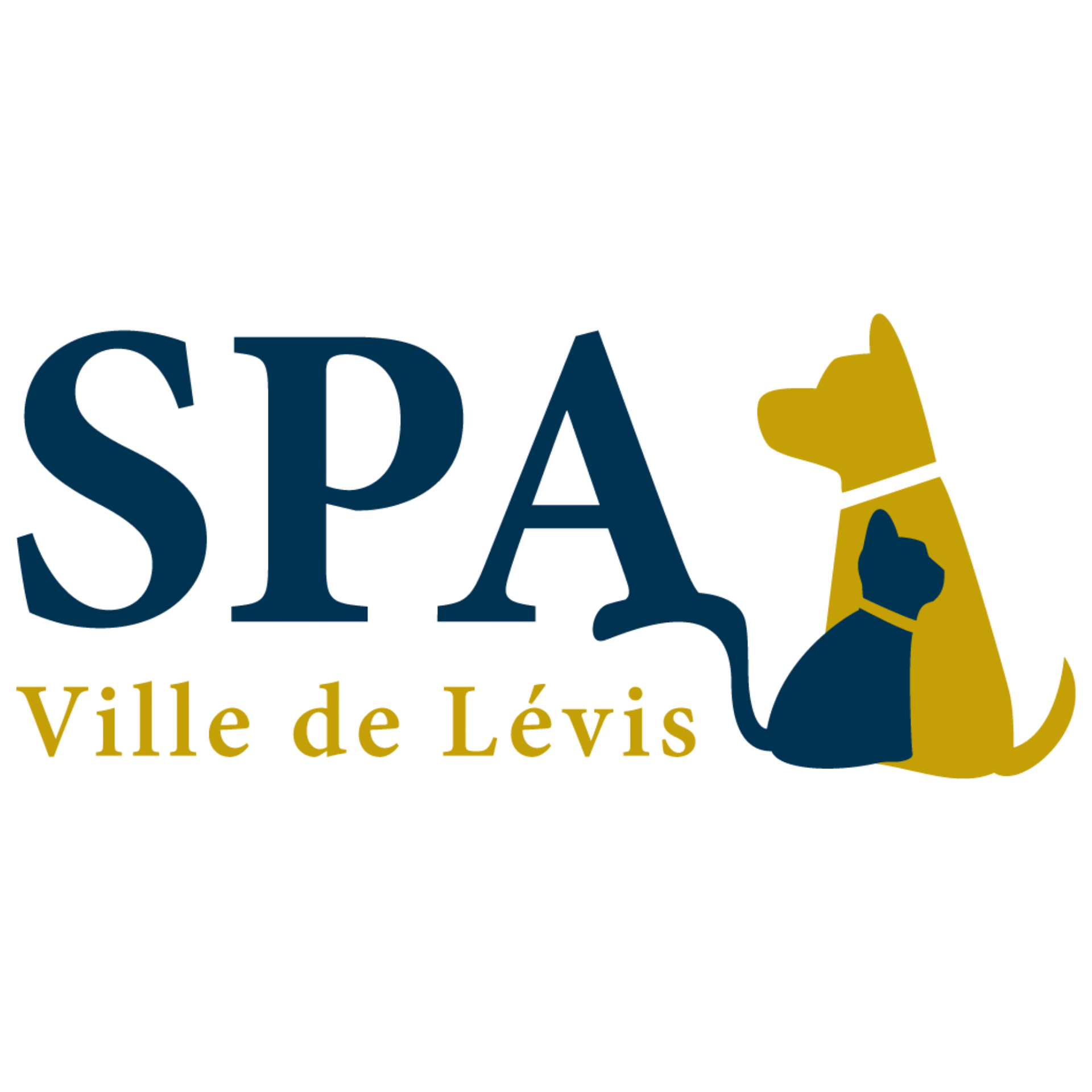 Spa lévis
