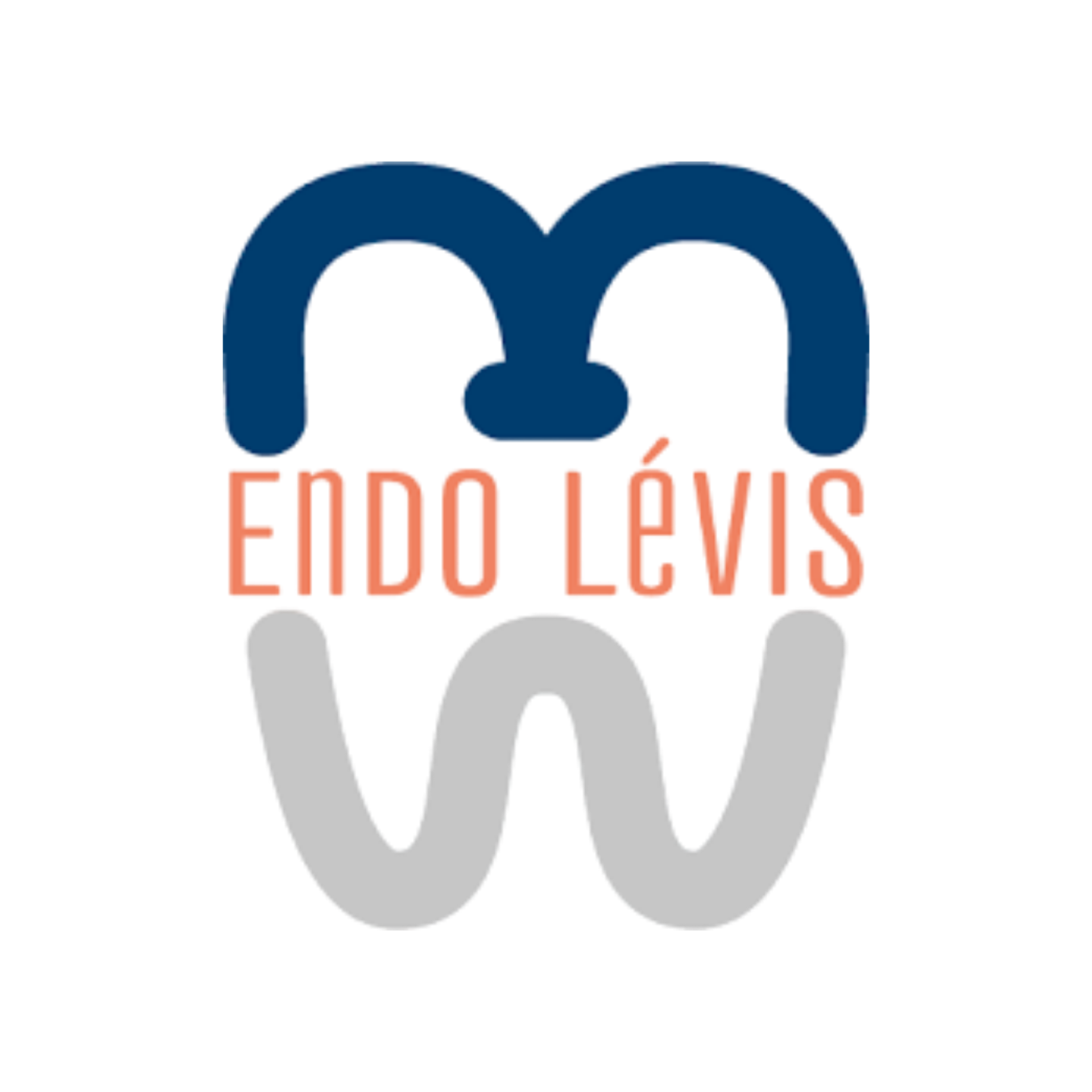 Endo Lévis